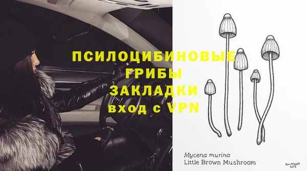 ALPHA-PVP Арсеньев