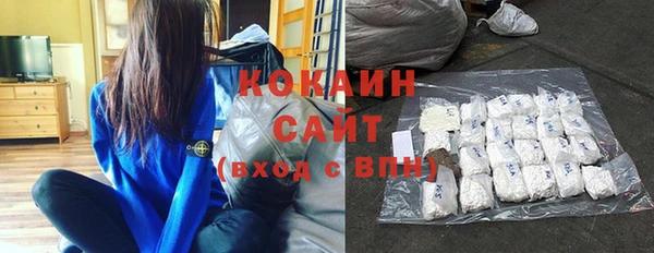 ГАЛЛЮЦИНОГЕННЫЕ ГРИБЫ Аркадак